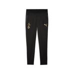 PUMA GALATASARAY Erkek Antrenman Eşofman Altı, PUMA Black, XS