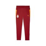 PUMA GALATASARAY Erkek Antrenman Eşofman Altı, Red Rhythm, S