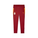 PUMA GALATASARAY Erkek Antrenman Eşofman Altı, Red Rhythm, XS