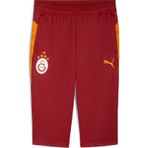 Puma Galatasaray Erkek Antrenman Kısa Eşofman Altı 782896 01 Kırmızı