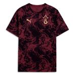 PUMA GALATASARAY Erkek Maç Öncesi Antrenman Tişört, Team Regal Red, S