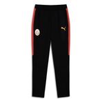 PUMA GALATASARAY EVOSTRIPE Erkek Eşofman Altı, PUMA Black, L