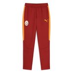 PUMA GALATASARAY EVOSTRIPE Erkek Eşofman Altı, Red Rhythm, XXL