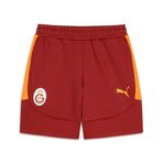 PUMA GALATASARAY EVOSTRIPE Erkek Şort, Red Rhythm, L