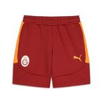 PUMA GALATASARAY EVOSTRIPE Erkek Şort, Red Rhythm, S