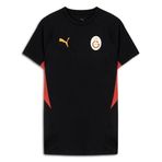 PUMA GALATASARAY EVOSTRIPE Erkek Tişört, PUMA Black, L