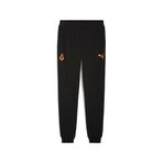PUMA GALATASARAY FtblESSENTIALS Erkek Eşofman Altı, PUMA Black, S