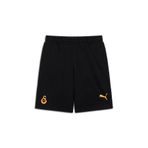 Puma GALATASARAY FtblESSENTIALS Erkek Şort