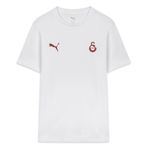 PUMA GALATASARAY FtblESSENTIALS Erkek Tişört, PUMA White, L