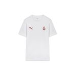 Puma GALATASARAY FtblESSENTIALS Erkek Tişört