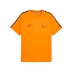 PUMA GALATASARAY KING Erkek Tişört, Intense Orange, XXL