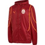 Puma Galatasaray S.k. 24/25 Erkek Antrenman Ceketi - XL - Çok Renkli