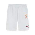 PUMA Galatasaray S.K. 24/25 ERKEK İÇ SAHA FUTBOL ŞORTU