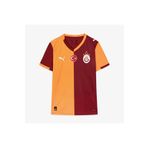 Puma Galatasaray S.k. 25-26 Erkek Kırmızı Iç Saha Futbol Forması