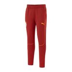 Puma Galatasaray S.k. Eşofman Altı 781216 01 Kırmızı