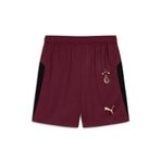 Puma Galatasaray S.k. Shorts 25/26 İç Saha Parçalı Şort Erkek Futbol Şortu BORDO