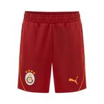 PUMA Galatasaray S.K. Şort XL