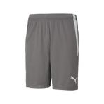 Puma Gri Erkek Futbol Şortu Teamliga Shorts