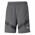 Puma Gri Erkek Futbol Teamfinal Training Shorts Antrenman Şortu