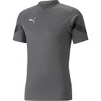 Puma Gri Teamfinal Training Jersey Erkek Futbol Forması