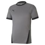 Puma Gri Teamgoal 23 Jersey Erkek Futbol Forması