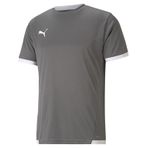 Puma Gri Teamliga Jersey Erkek Futbol Forması