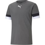 Puma Gri Teamrise Jersey Erkek Futbol Forması