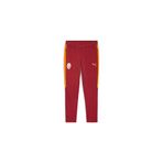 Puma Gsk Evostrıpe Pants Erkek Yetişkin Eşofman Altı