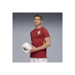 Puma GSK EVOSTRIPE Tee Kırmızı Erkek T-Shirt