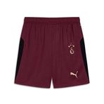 Puma Gsk Shorts Replica W/Blocking W/O Erkek GALATASARAY 25/26 Futbol Şortu 77982303 Siyah