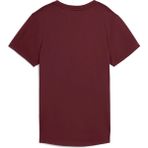 Puma Kadın Kırmızı Puma W Tad Essentıal Crew Tee Kırmızı Kadın T-Shirt