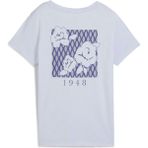 Puma Kadın Mavi Puma Graphıcs Traın Concept Tee W Mavi Kadın T-Shirt
