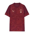 PUMA Kids GALATASARAY Genç Antrenman Forması, Team Regal Red, 15-16Y