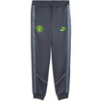 Puma Manchester Cıty Kıng Anthem Erkek Pantolon - XL