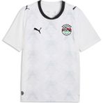 Puma Mısır Erkek Deplasman Forması - XL
