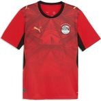 Puma Mısır Erkek Iç Saha Forması - XS