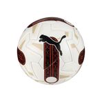 Puma Orbita Süper Lig 2023/24 Resmi Futbol Topu