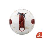 Puma Orbita Süper Lig1 (Fifa Pro) Türkiye Profesyonel Ligleri Resmi Maç Topu 2023/2024 8419201 Renkli