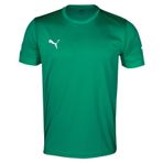 Puma Smu Turkey Jersey Yeşil Erkek Futbol Forması