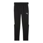 Puma Team Evostripe Pants Erkek Futbol Antrenman Eşofman Altı 65994803 Siyah, 3XL