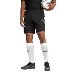 Puma Team Evostripe Shorts Erkek Futbol Şortu 65995103 Siyah, L