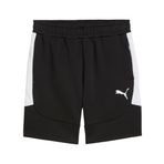 Puma Team Evostripe Shorts Erkek Futbol Şortu 65995103 Siyah, M
