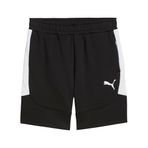 Puma Team Evostripe Shorts Erkek Futbol Şortu 65995103 Siyah, S