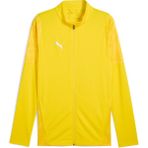 Puma teamCUP Football Erkek Ceket