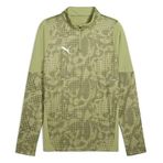 Puma Teamcup Training 1/4 Zip Top Erkek Futbol Antrenman Uzun Kollu Tişört 65916440 Yeşil