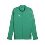 Puma Teamcup Training Jacket Erkek Futbol Antrenman Ceketi 65916505 Yeşil - 3XL