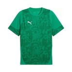Puma Teamcup Training Jersey Erkek Futbol Tişörtü 65916705 Yeşil - 2XL
