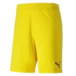 Puma Teamgoal 23 Knit Shorts Sarı Erkek Futbol Şortu