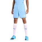 PUMA teamgoal 23 örgü erkek şortu
