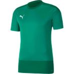 Puma Teamgoal 23 Training Jersey Erkek Futbol Forması